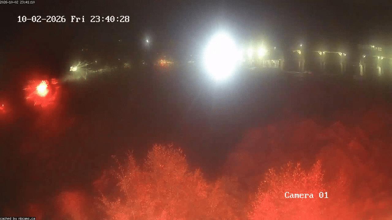 Web Cam image of Grand Falls Gorge