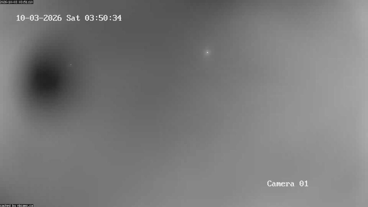 Web Cam image of Grand Falls Gorge