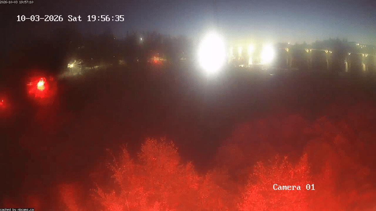 Web Cam image of Grand Falls Gorge
