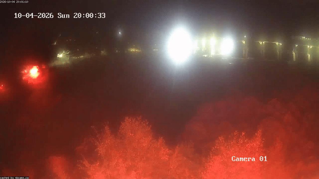 Web Cam image of Grand Falls Gorge