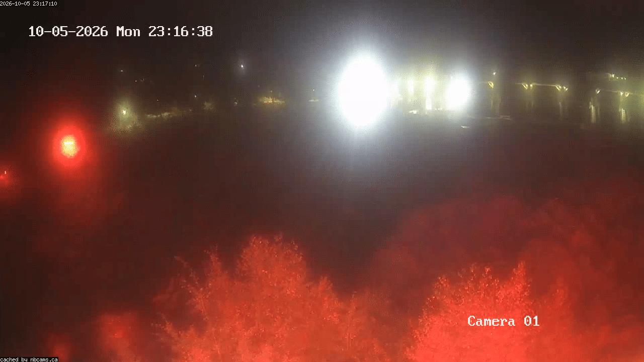 Web Cam image of Grand Falls Gorge