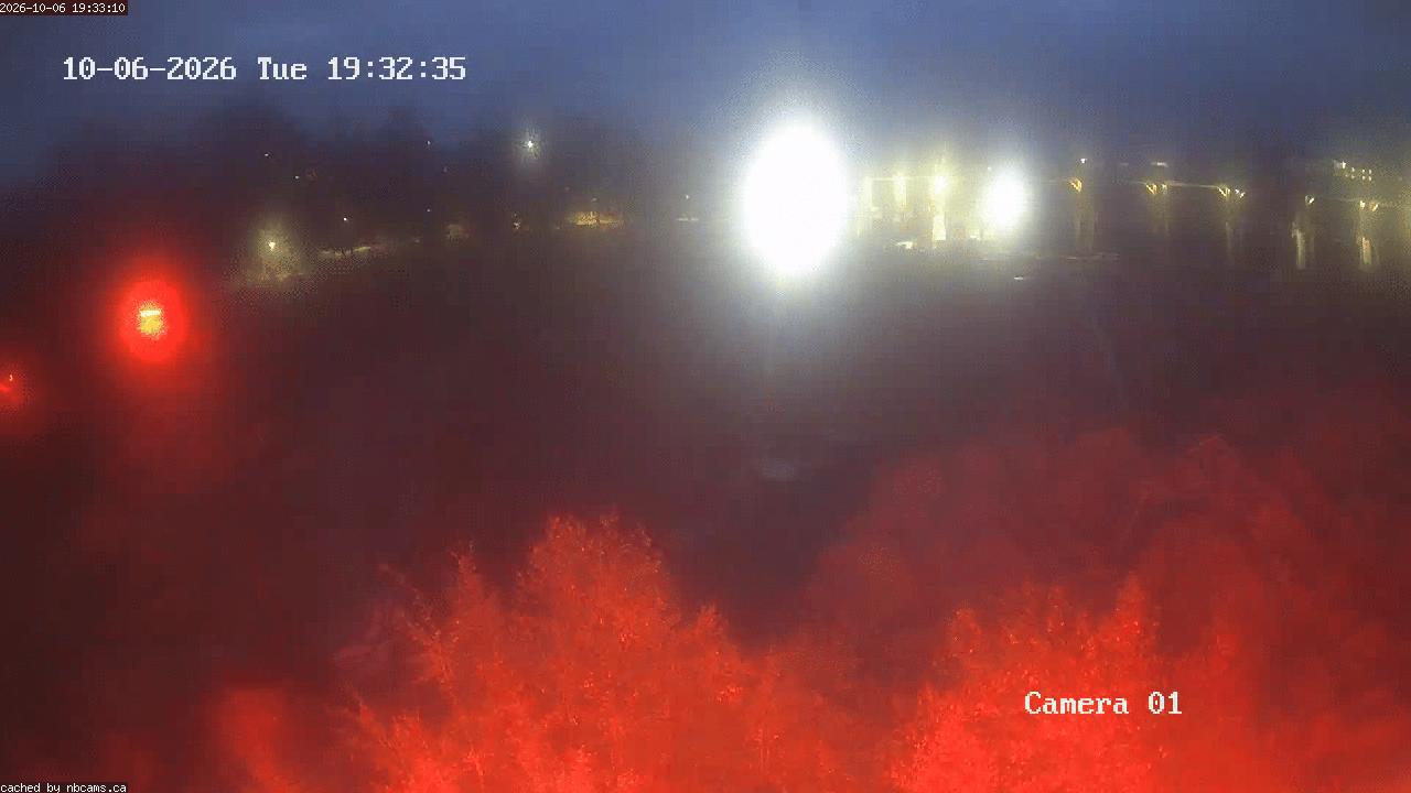 Web Cam image of Grand Falls Gorge