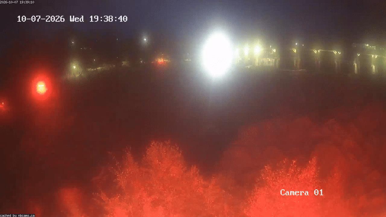 Web Cam image of Grand Falls Gorge