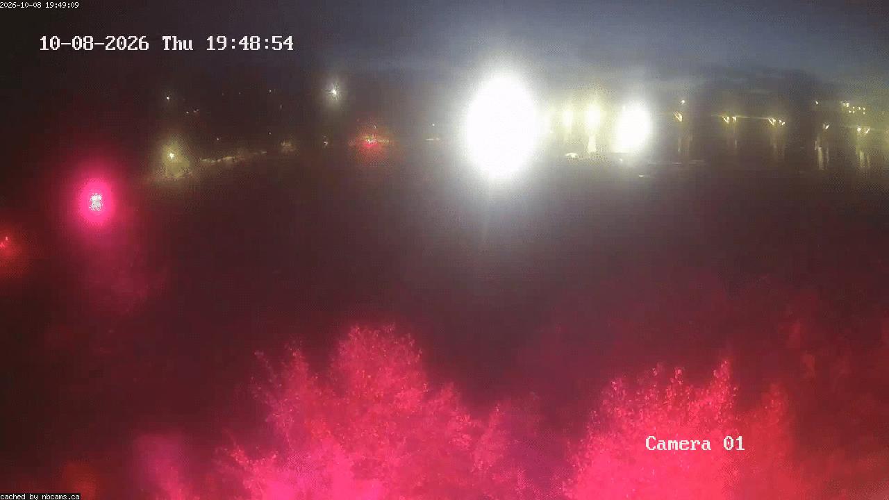 Web Cam image of Grand Falls Gorge