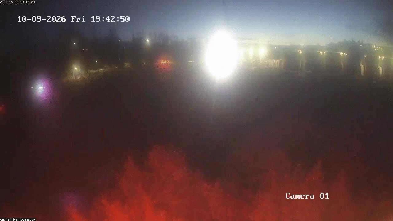 Web Cam image of Grand Falls Gorge