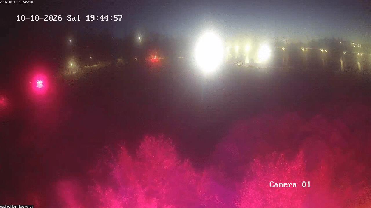 Web Cam image of Grand Falls Gorge