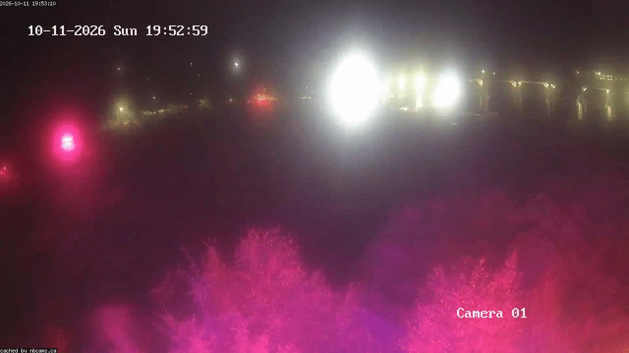 Web Cam image of Grand Falls Gorge