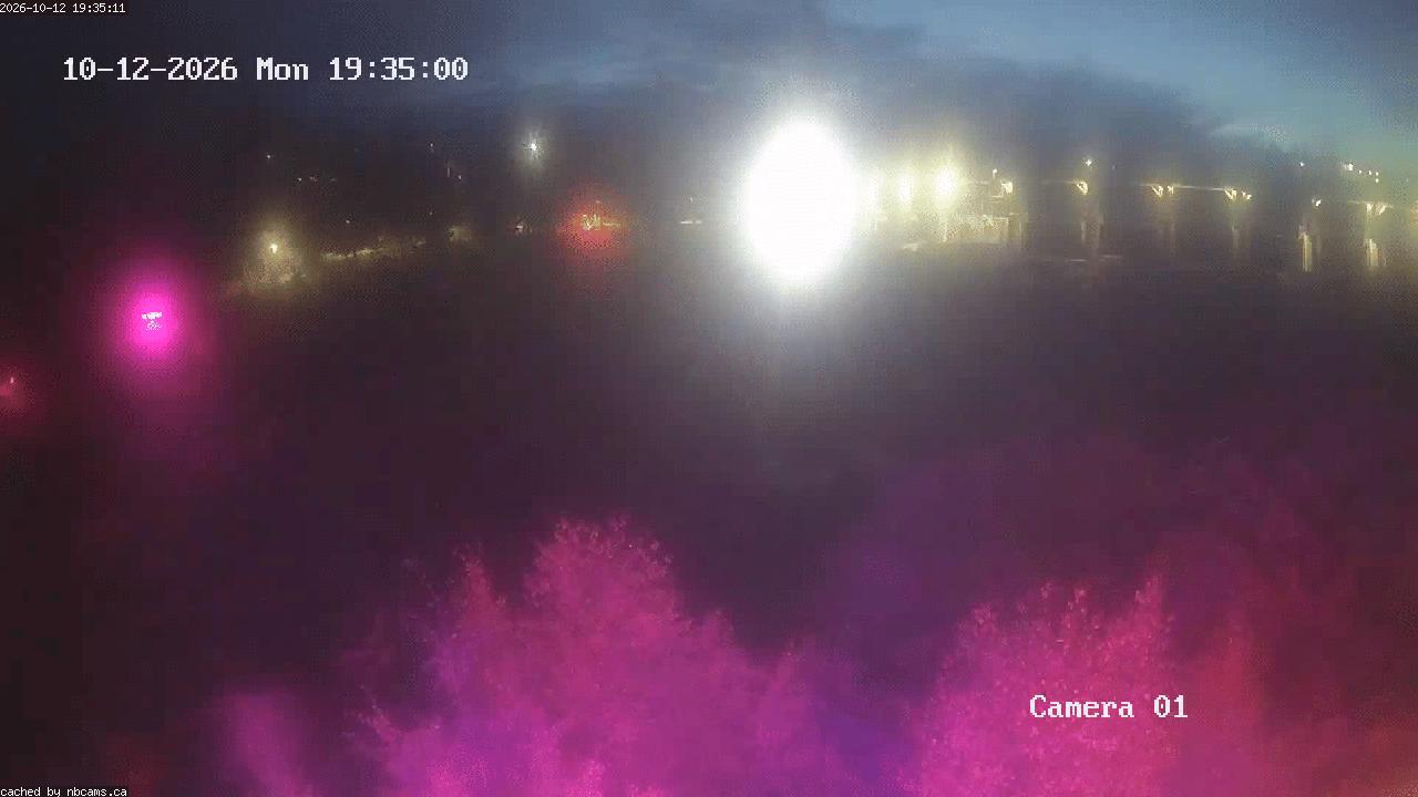 Web Cam image of Grand Falls Gorge