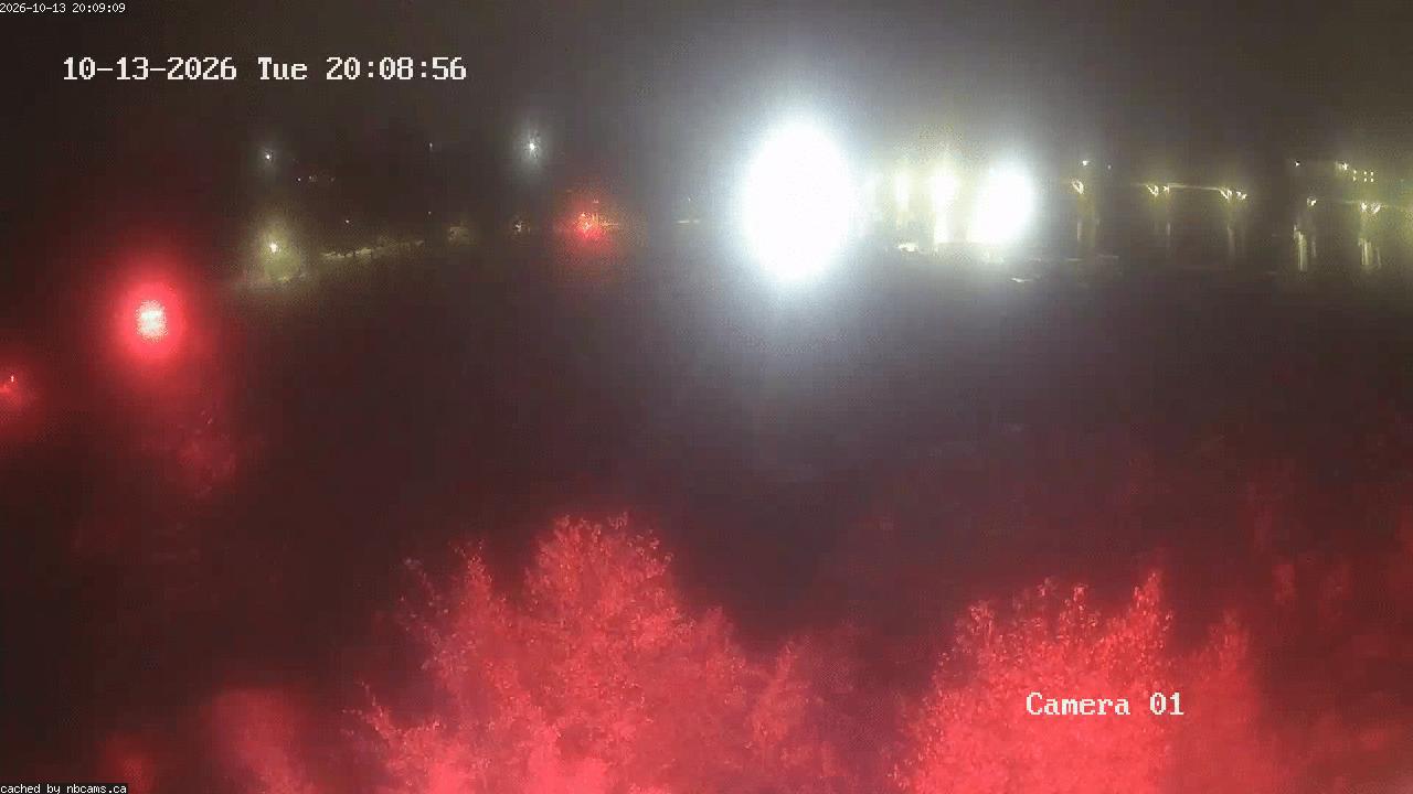 Web Cam image of Grand Falls Gorge
