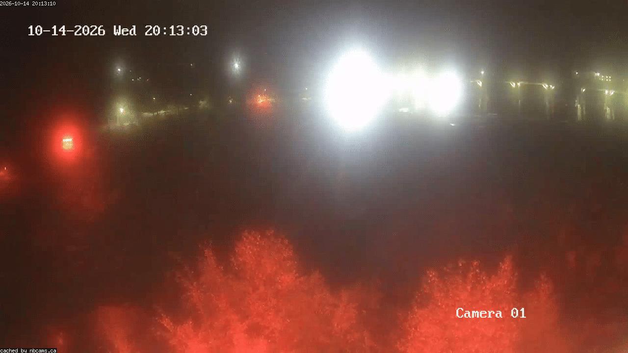 Web Cam image of Grand Falls Gorge