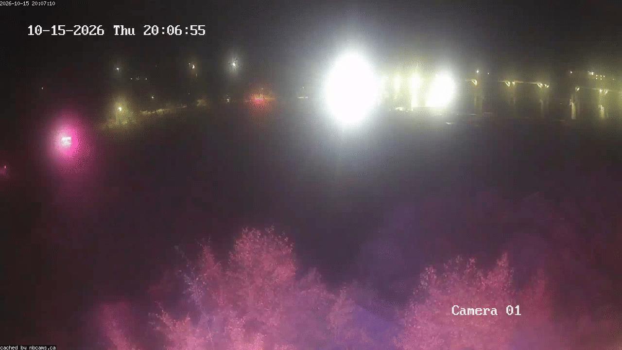 Web Cam image of Grand Falls Gorge