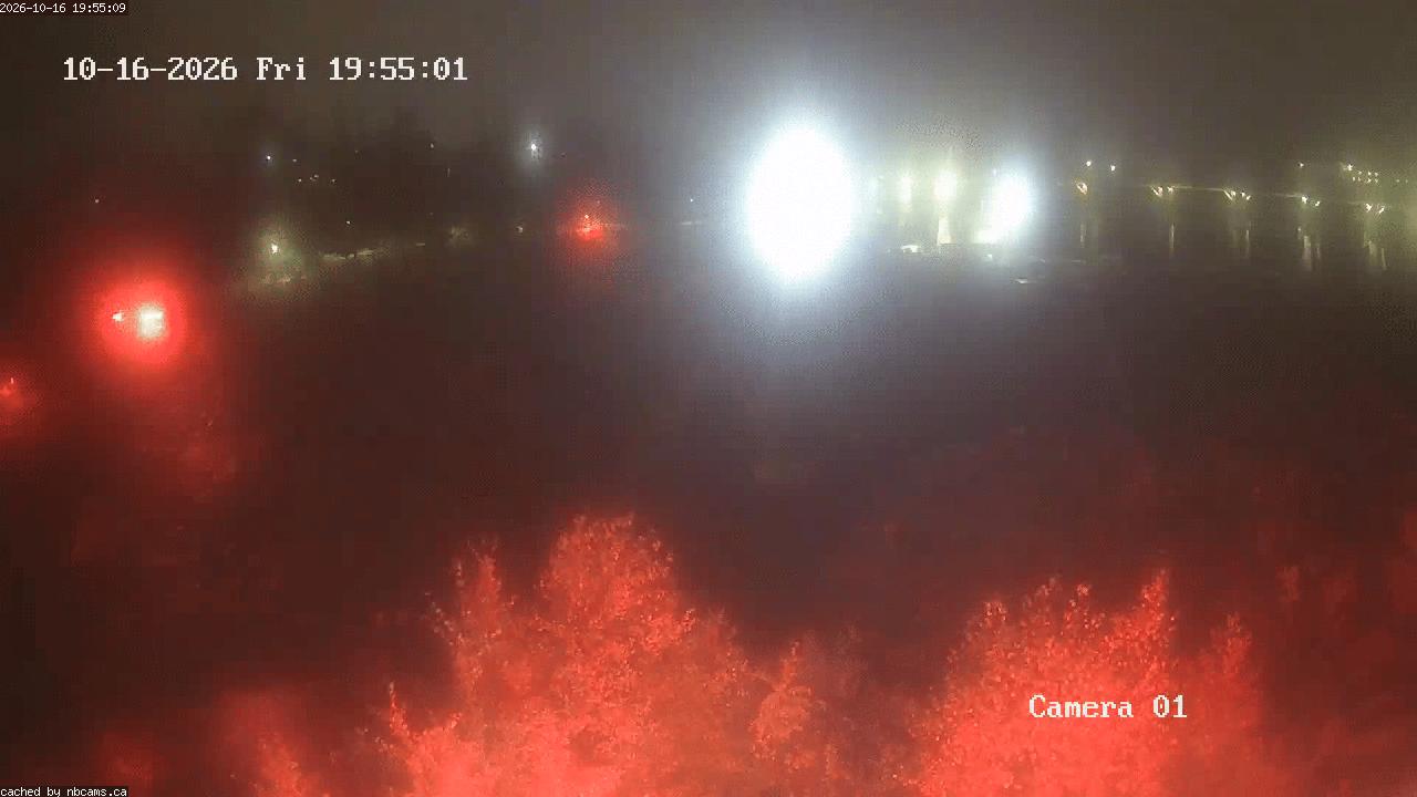 Web Cam image of Grand Falls Gorge