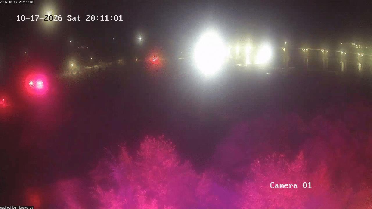 Web Cam image of Grand Falls Gorge