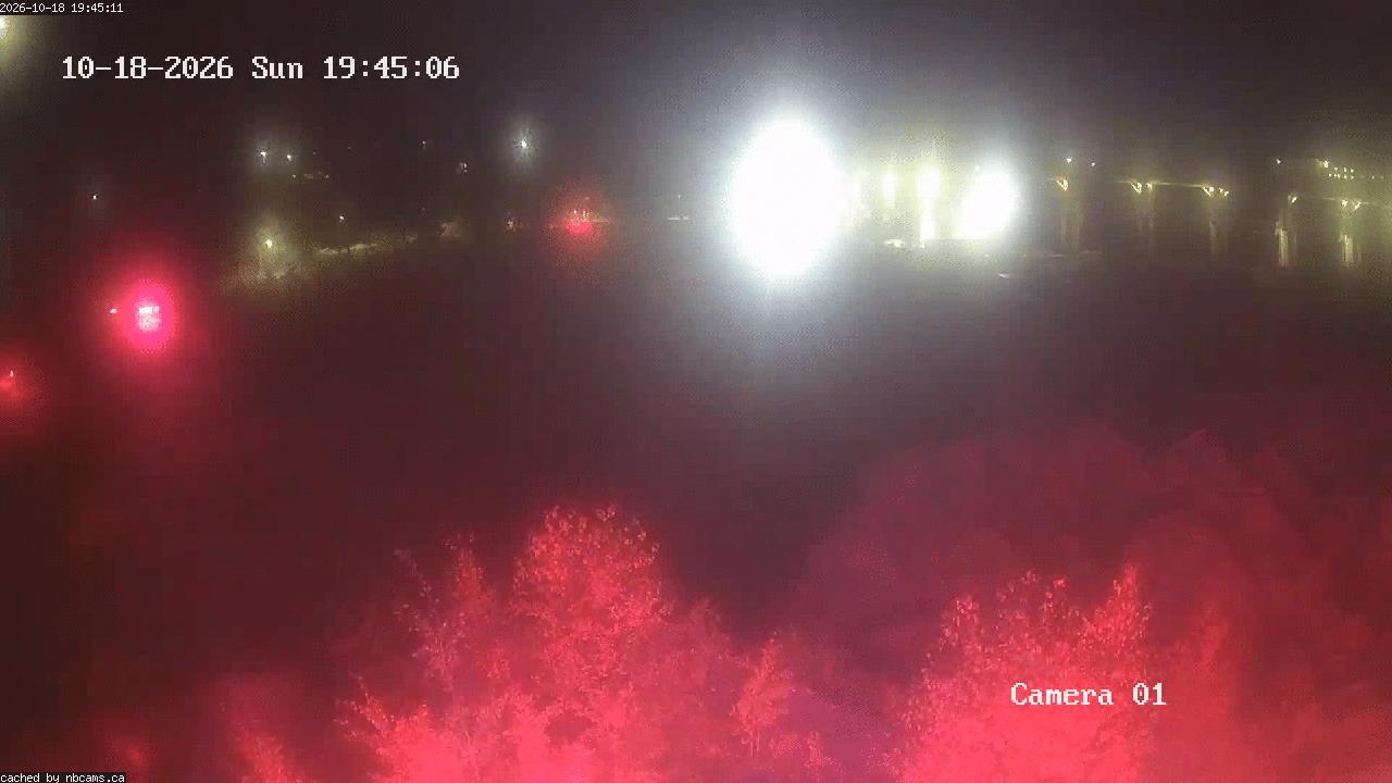 Web Cam image of Grand Falls Gorge