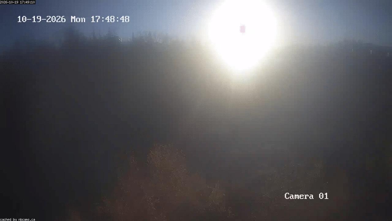 Web Cam image of Grand Falls Gorge