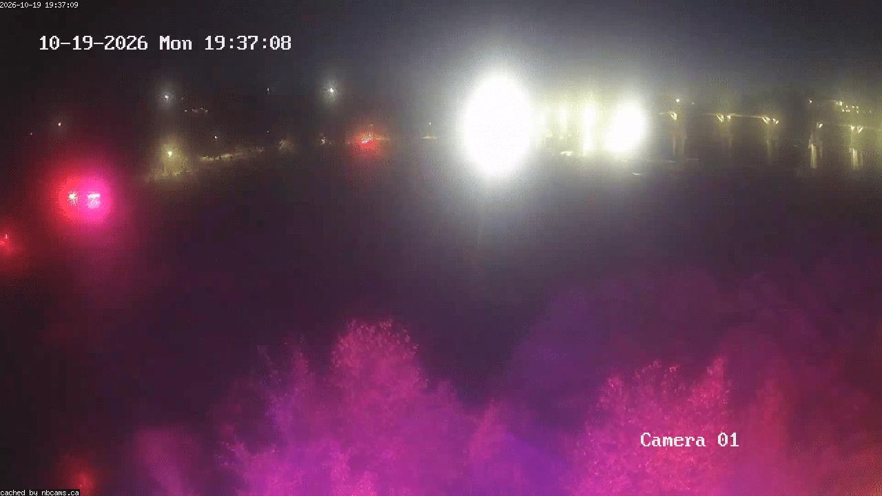 Web Cam image of Grand Falls Gorge