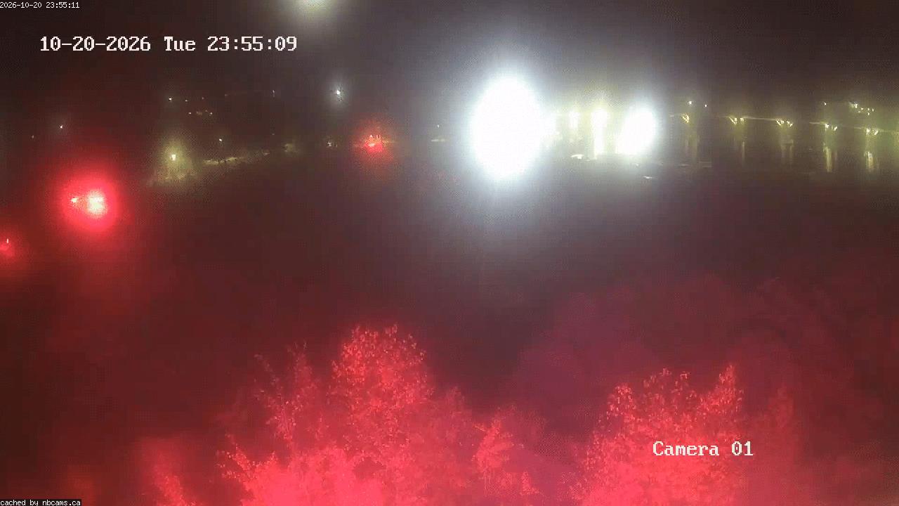 Web Cam image of Grand Falls Gorge