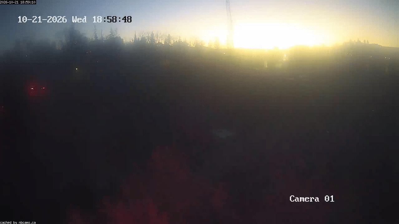 Web Cam image of Grand Falls Gorge