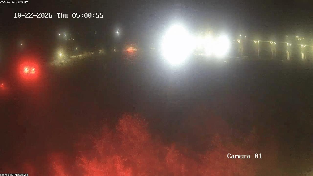 Web Cam image of Grand Falls Gorge