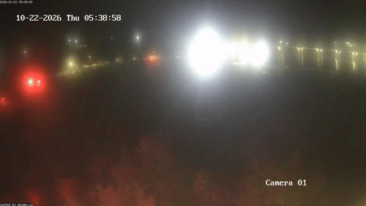 Web Cam image of Grand Falls Gorge