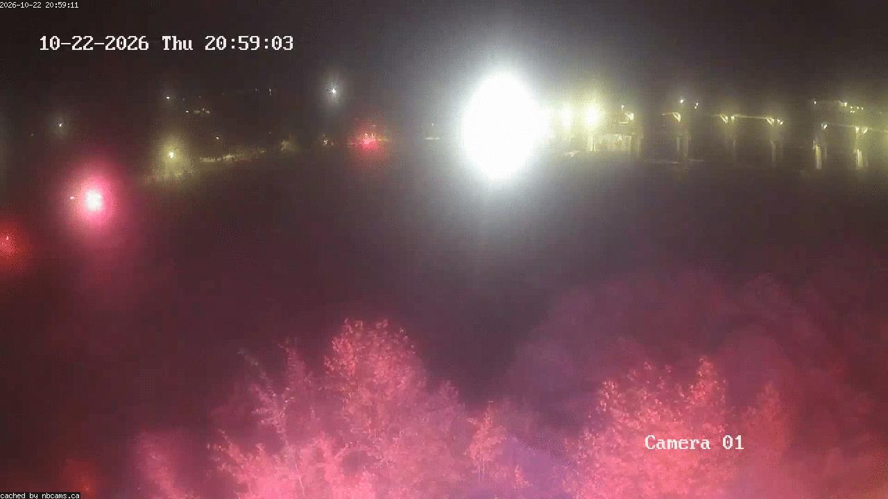 Web Cam image of Grand Falls Gorge