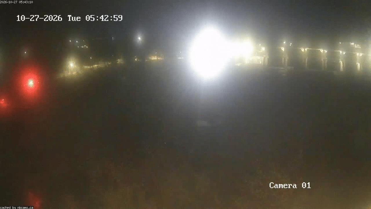 Web Cam image of Grand Falls Gorge