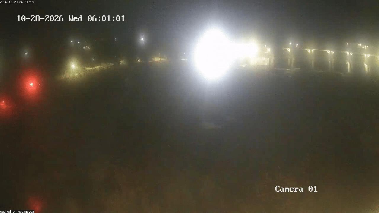 Web Cam image of Grand Falls Gorge