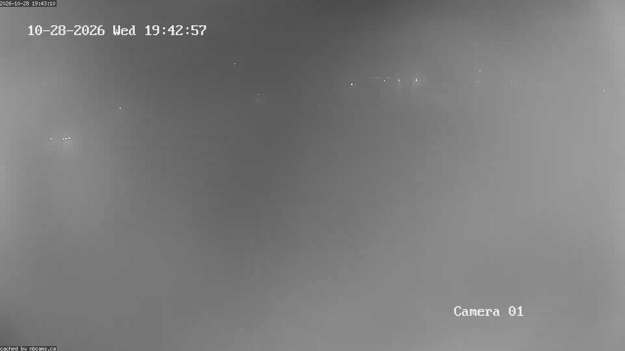 Web Cam image of Grand Falls Gorge