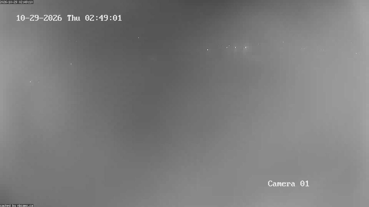 Web Cam image of Grand Falls Gorge