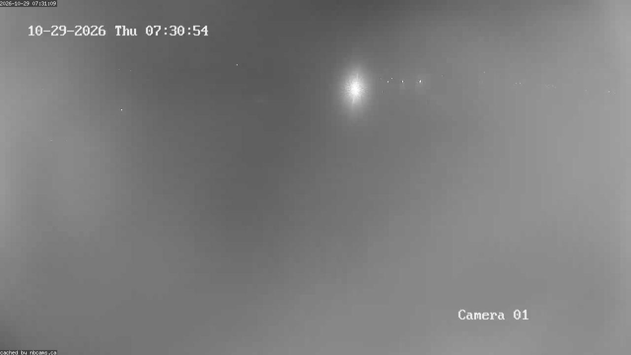Web Cam image of Grand Falls Gorge
