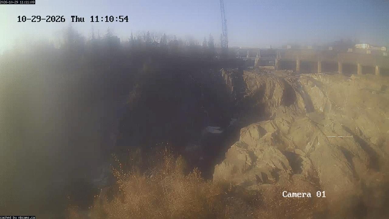 Web Cam image of Grand Falls Gorge