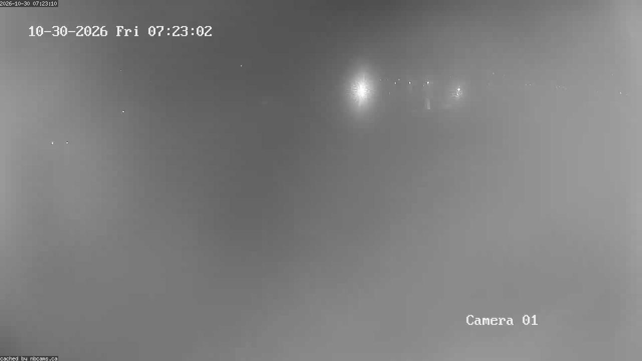Web Cam image of Grand Falls Gorge