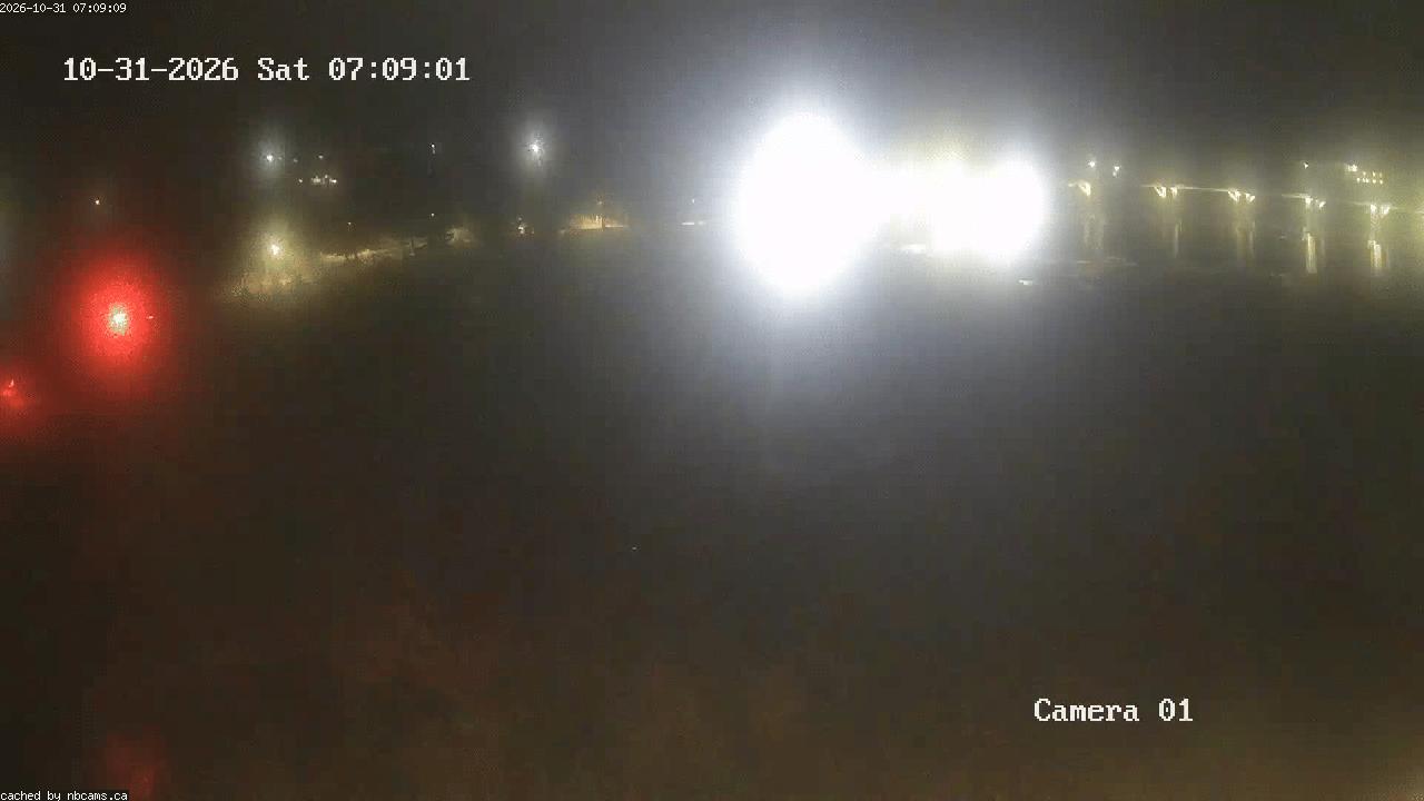 Web Cam image of Grand Falls Gorge