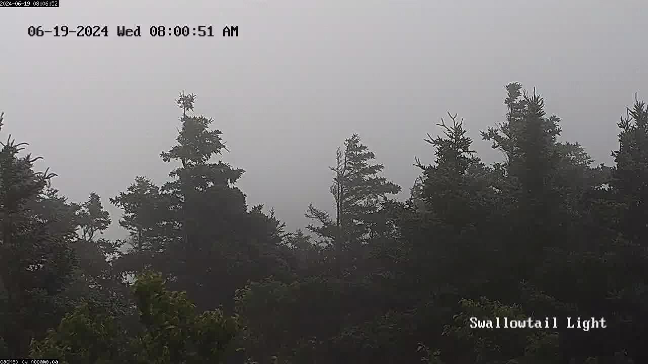 Web Cam image of Grand Manan (Swallowtail Light House)