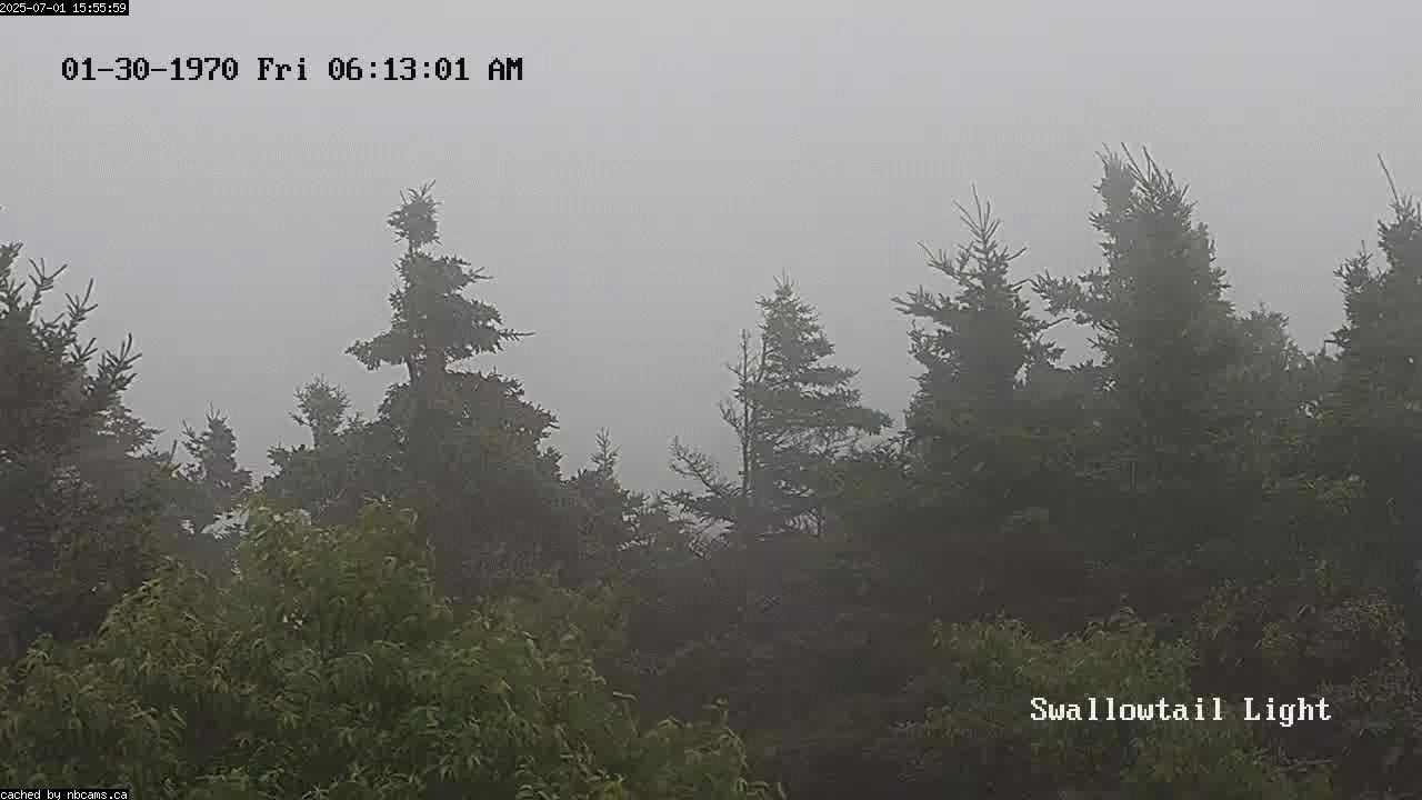 Web Cam image of Grand Manan (Swallowtail Light House)