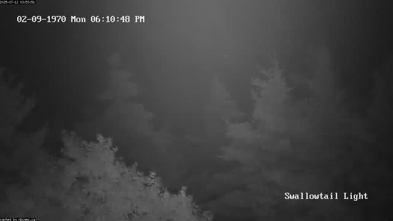 Web Cam image of Grand Manan (Swallowtail Light House)