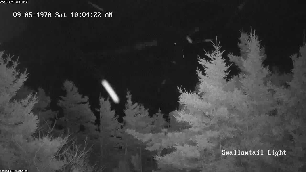 Web Cam image of Grand Manan (Swallowtail Light House)