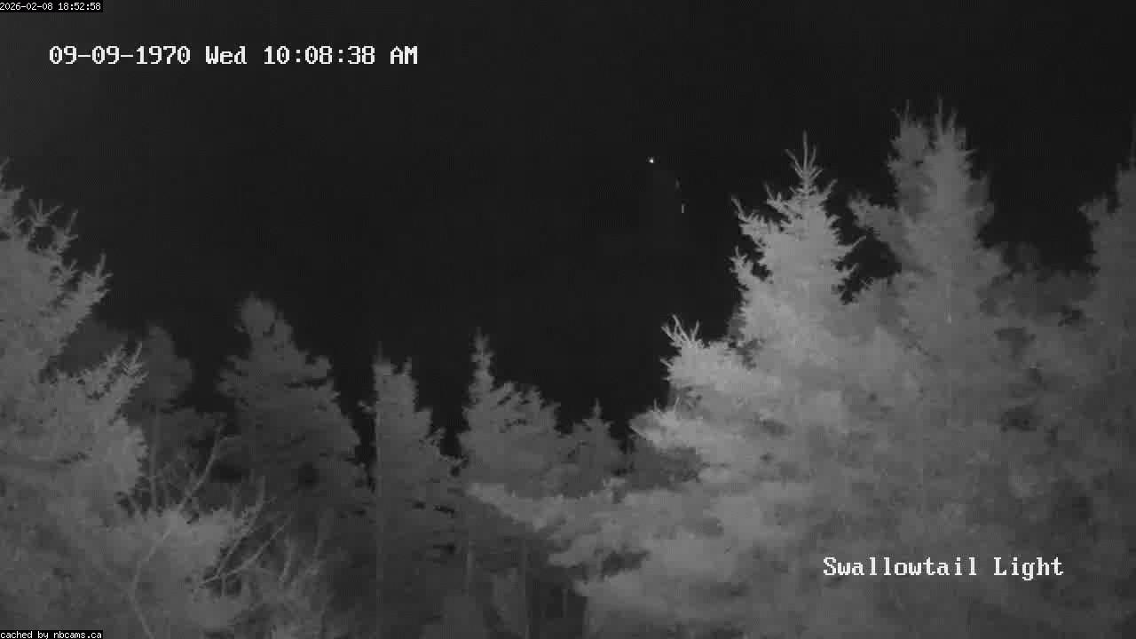 Web Cam image of Grand Manan (Swallowtail Light House)