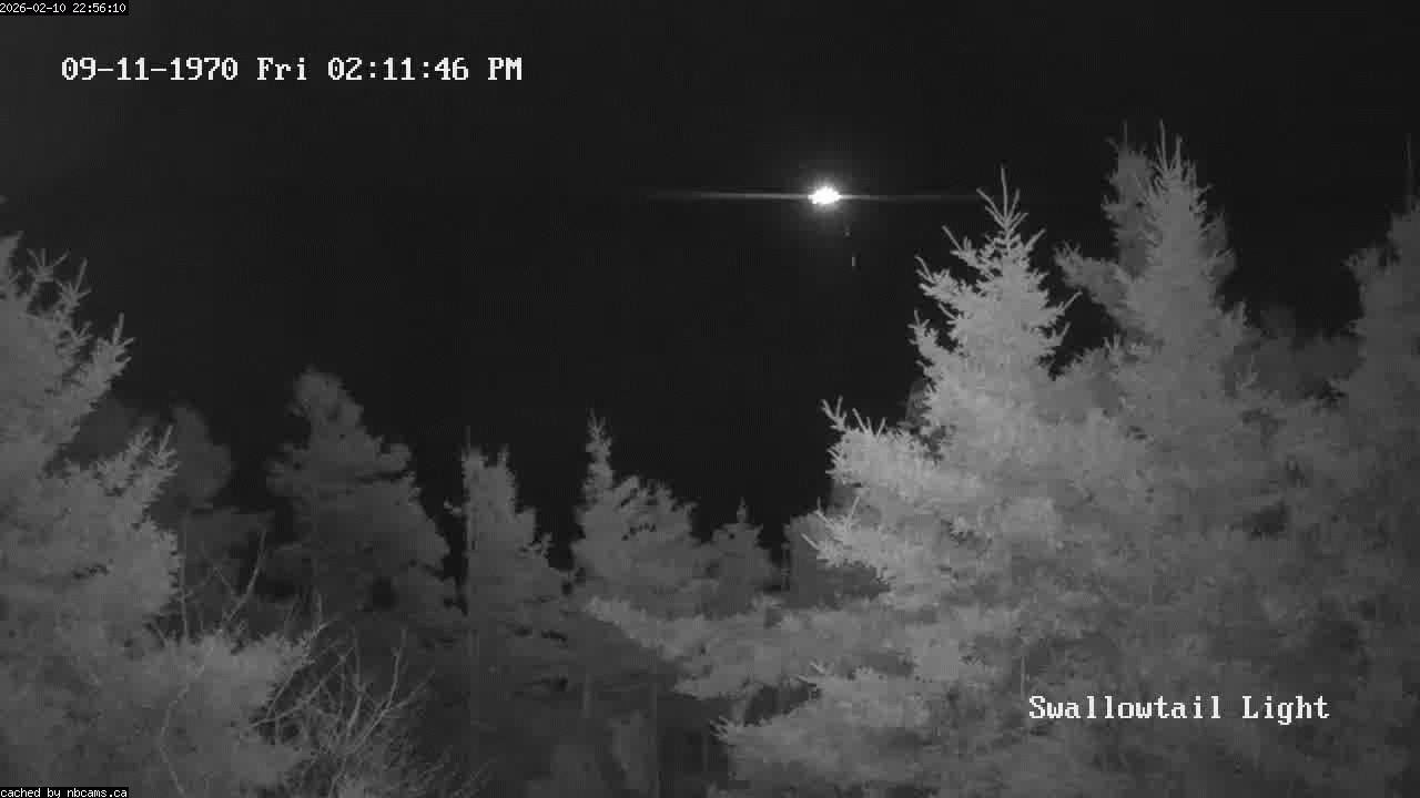 Web Cam image of Grand Manan (Swallowtail Light House)