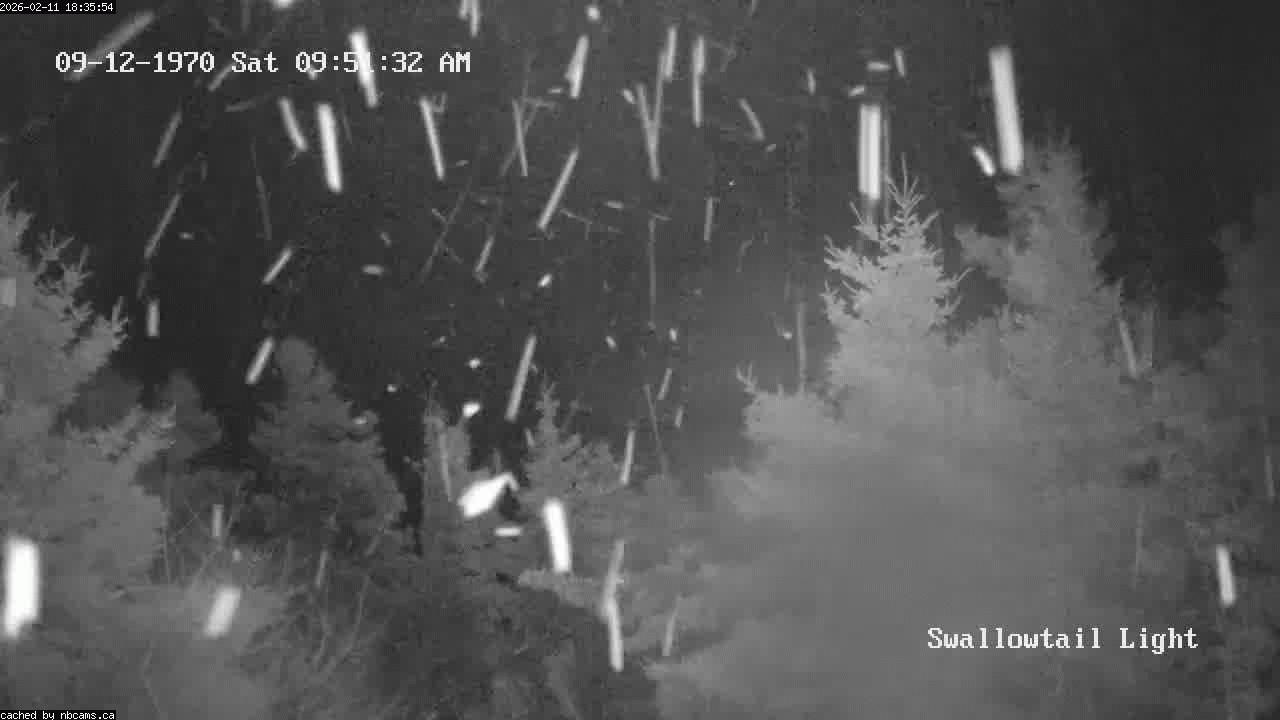 Web Cam image of Grand Manan (Swallowtail Light House)