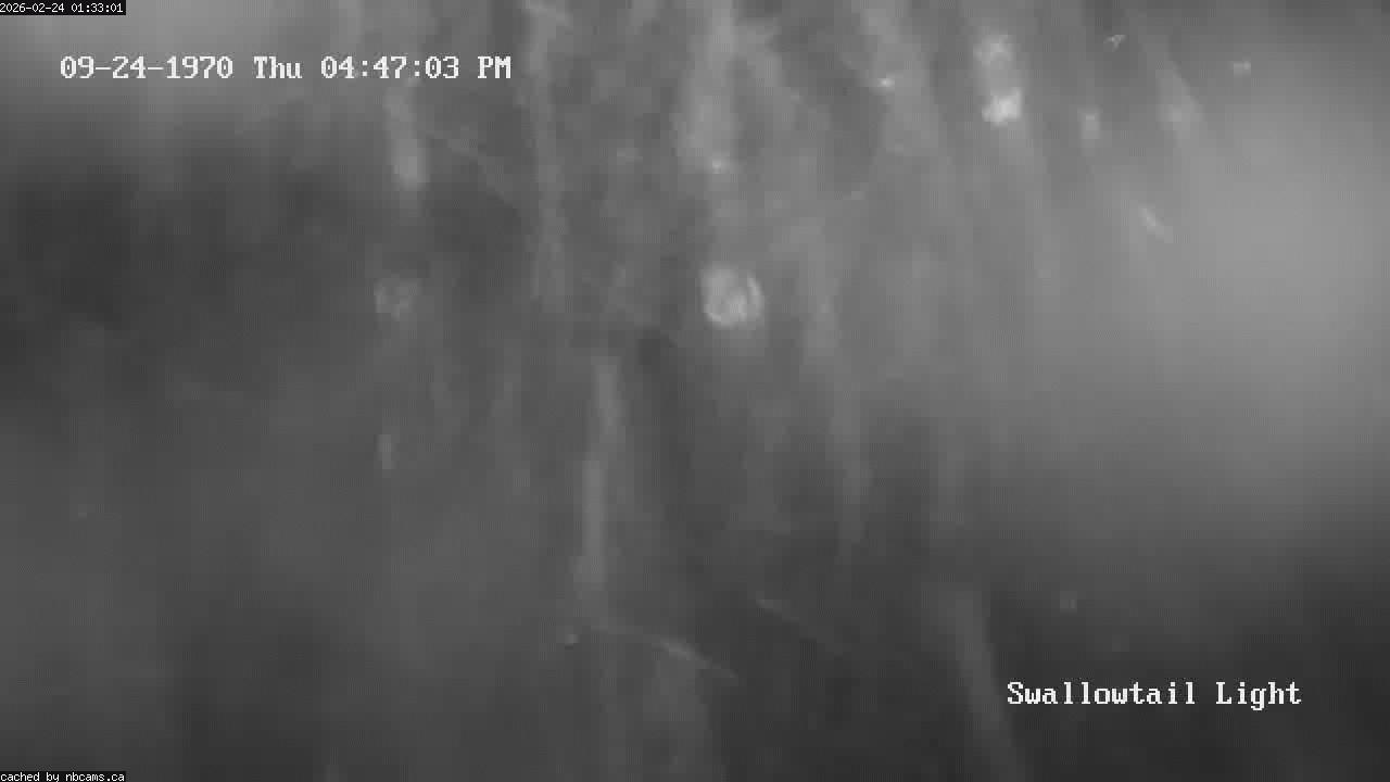 Web Cam image of Grand Manan (Swallowtail Light House)