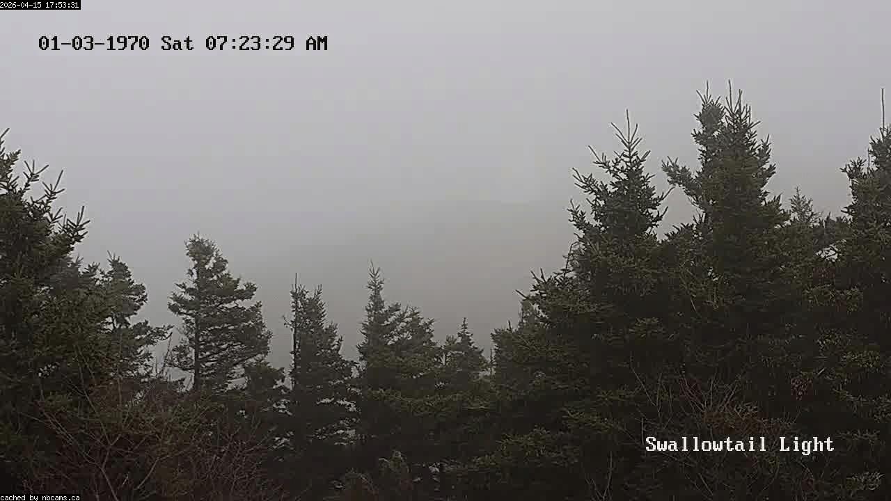 Web Cam image of Grand Manan (Swallowtail Light House)