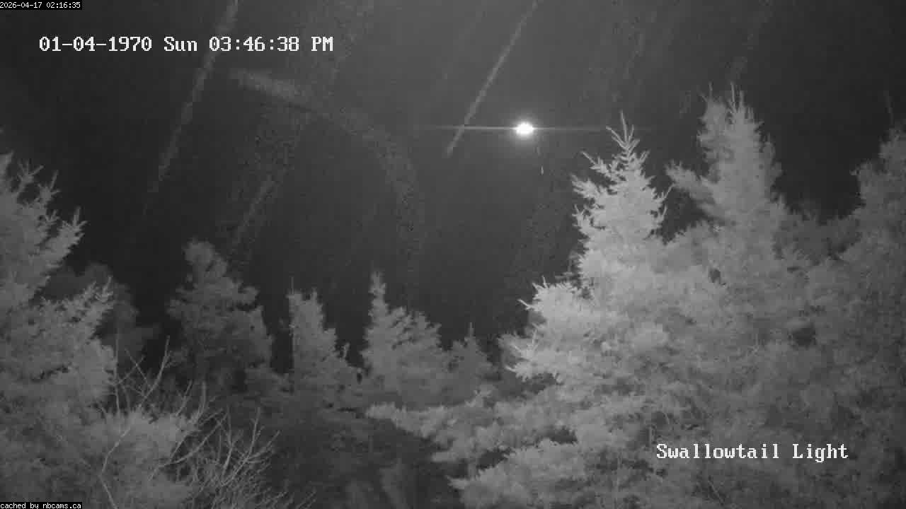 Web Cam image of Grand Manan (Swallowtail Light House)