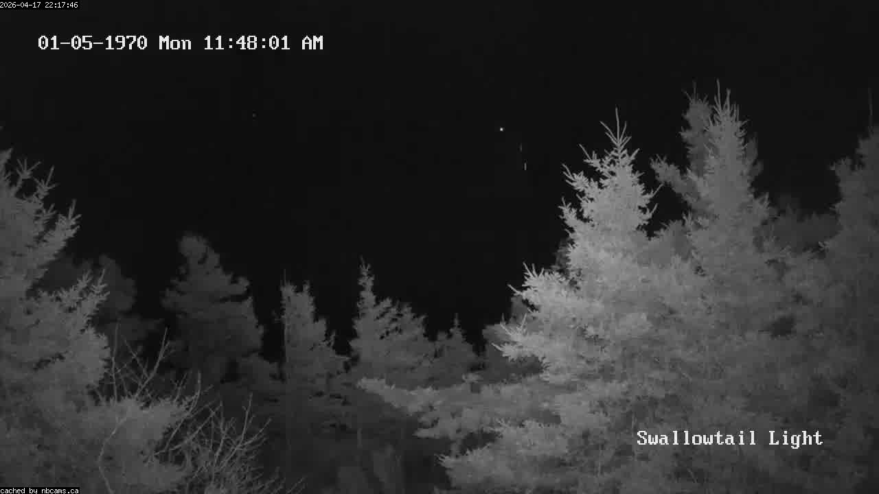 Web Cam image of Grand Manan (Swallowtail Light House)