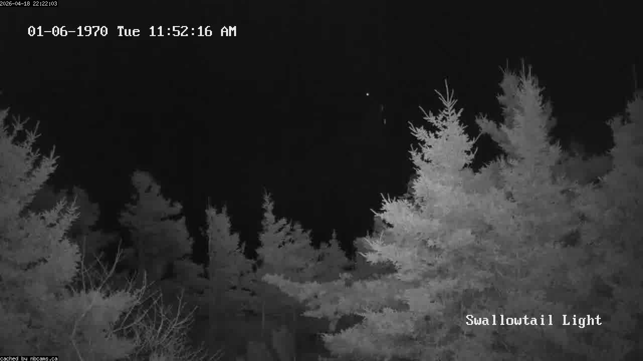 Web Cam image of Grand Manan (Swallowtail Light House)