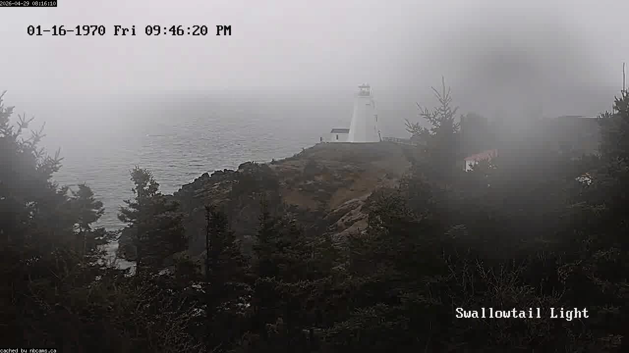 Web Cam image of Grand Manan (Swallowtail Light House)