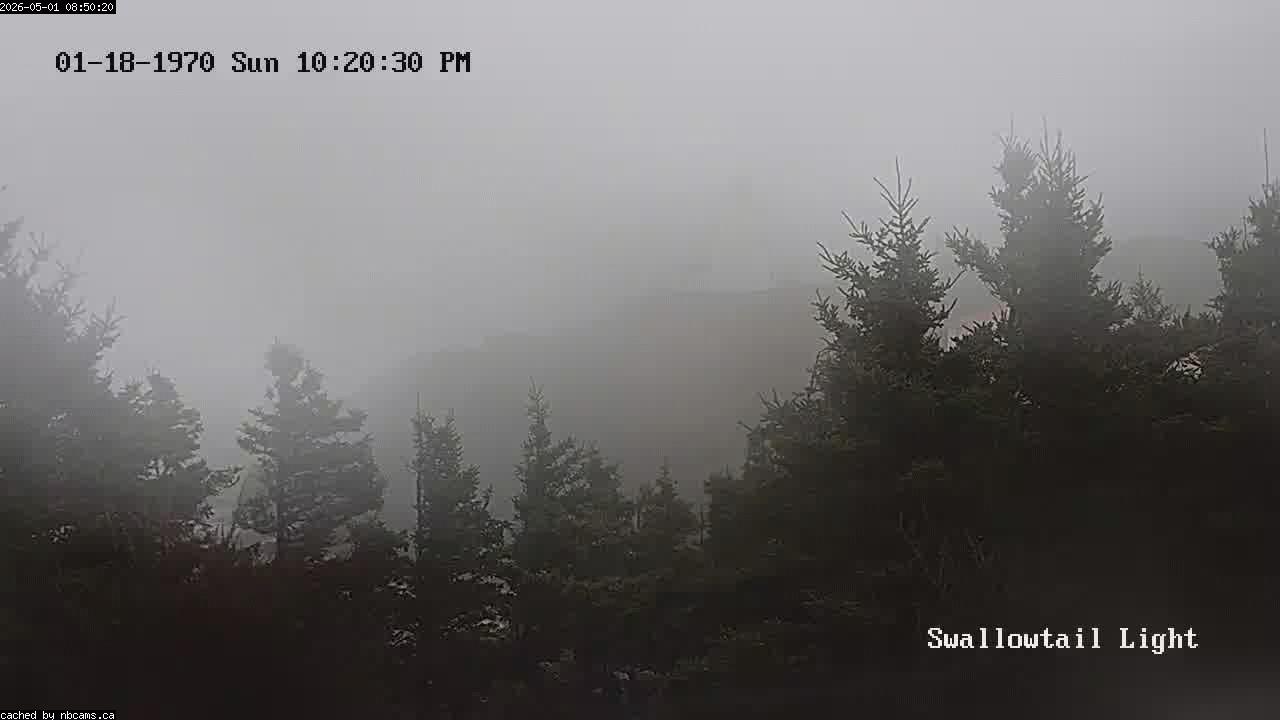 Web Cam image of Grand Manan (Swallowtail Light House)