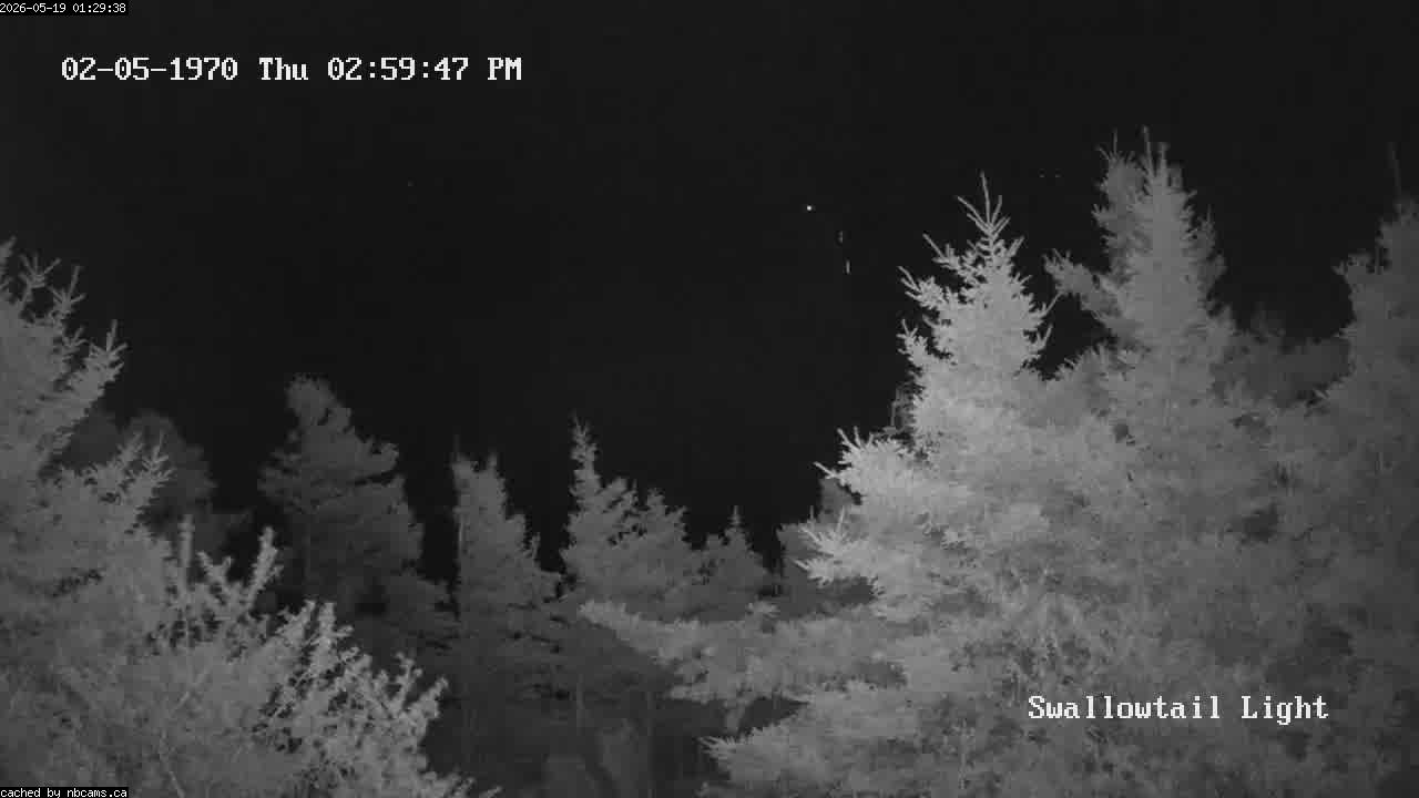 Web Cam image of Grand Manan (Swallowtail Light House)