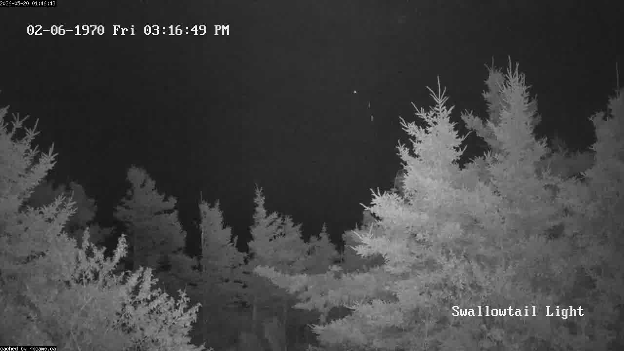 Web Cam image of Grand Manan (Swallowtail Light House)