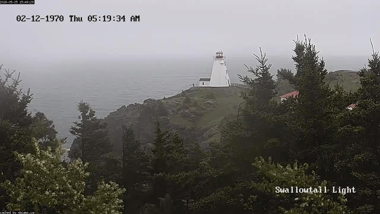 Web Cam image of Grand Manan (Swallowtail Light House)